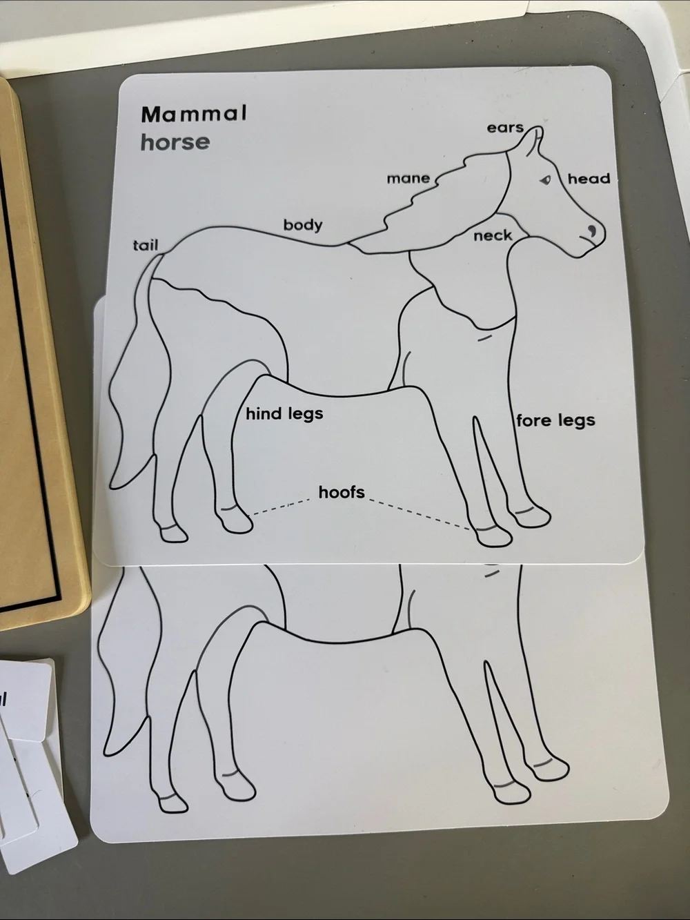 Montessori Wooden Horse Puzzle with Silhouette - Educational